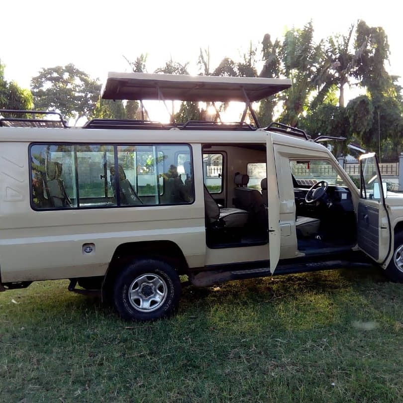 5 Days Tanzania and Rwanda Wildlife Safari